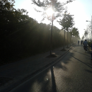 三级黄色录像在线看胸大的夫妻
